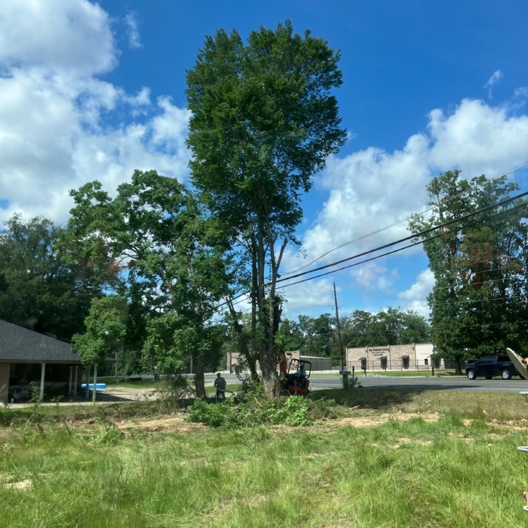 Property improvement services in Monroe, LA