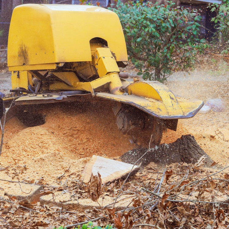 Property improvement services in Monroe, LA