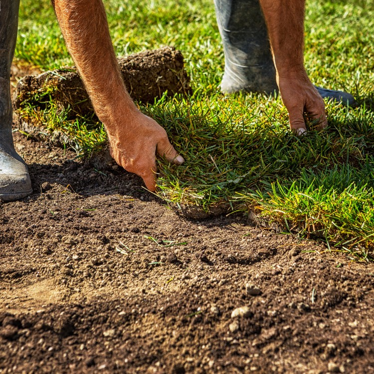 Property improvement services in Monroe, LA