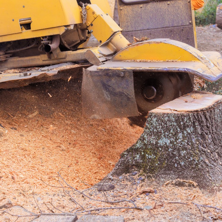 Property improvement services in Monroe, LA